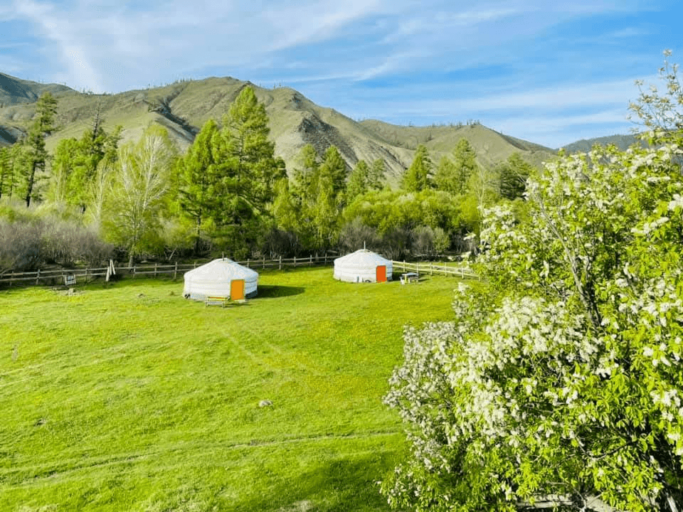 Mongolian yurt